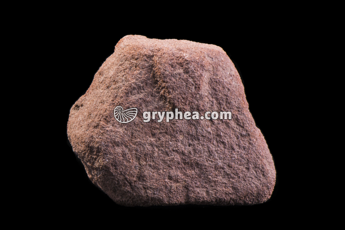 Grès des Vosges - gryphea.com